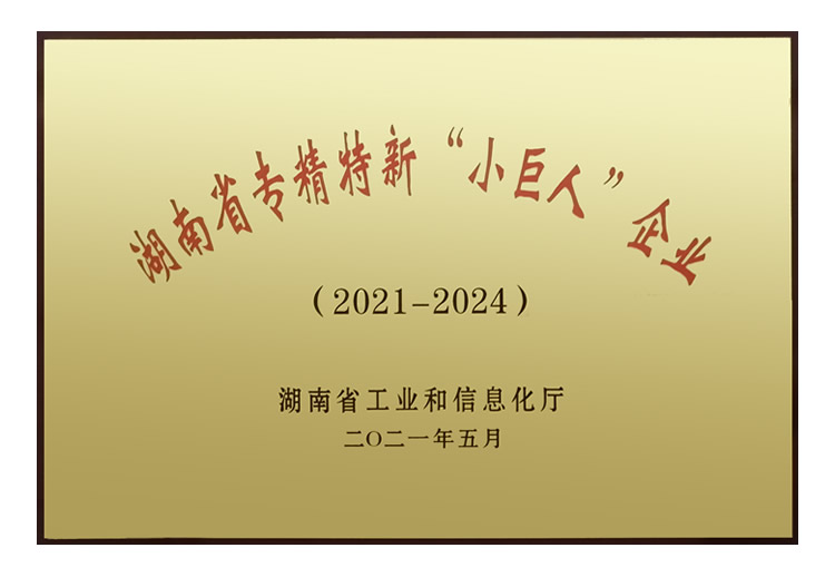 湖南省專(zhuān)精特新“小巨人企業(yè)”