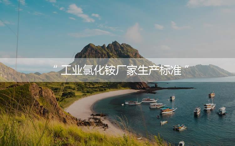 工業(yè)氯化銨廠家生產(chǎn)標(biāo)準(zhǔn)，生產(chǎn)過程進(jìn)行嚴(yán)密的監(jiān)控！